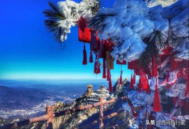 小猫钓鱼开船版最新版下载